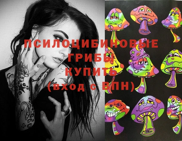 ПСИЛОЦИБИНОВЫЕ ГРИБЫ Сясьстрой
