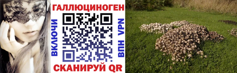 OMG   даркнет сайт  Геленджик  Псилоцибиновые грибы MAGIC MUSHROOMS 