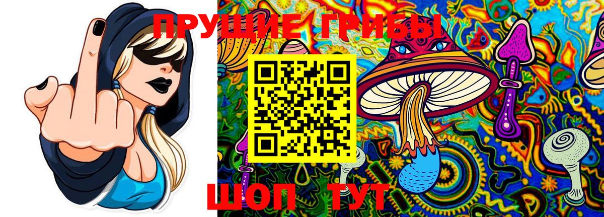 Псилоцибиновые грибы Cubensis Геленджик