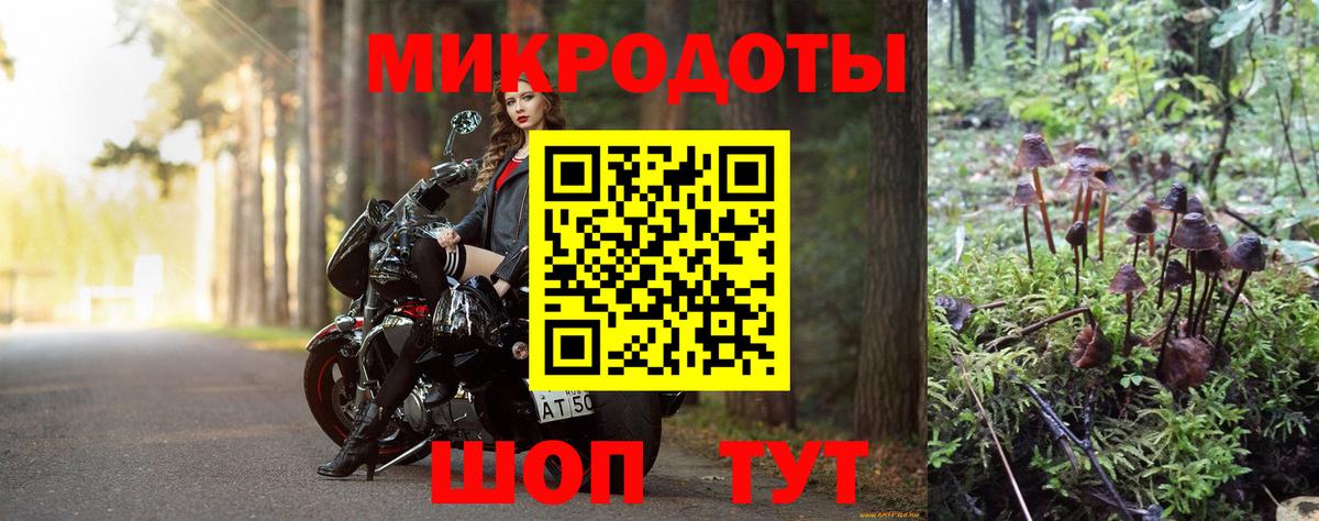 Галлюциногенные грибы Cubensis  Геленджик  Псилоцибиновые грибы Cubensis 