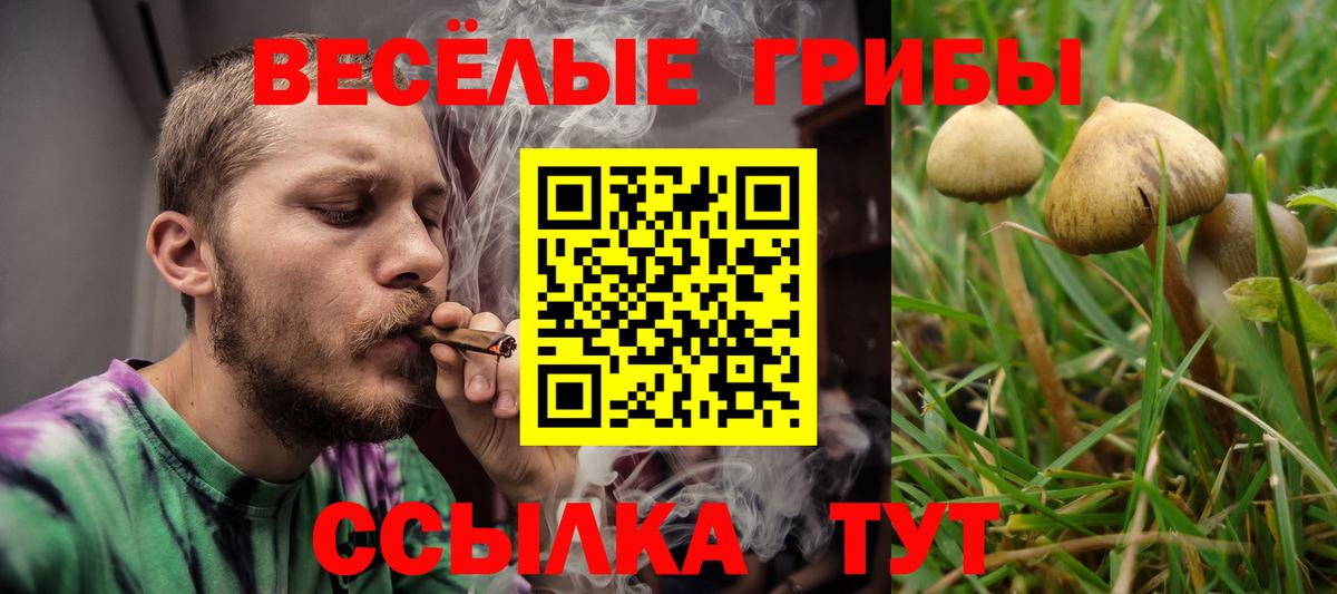 наркота  Вход с VPN  Геленджик  Псилоцибиновые грибы Psilocybine cubensis  Псилоцибиновые грибы мухоморы 